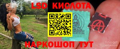 эйфоретик Аргун