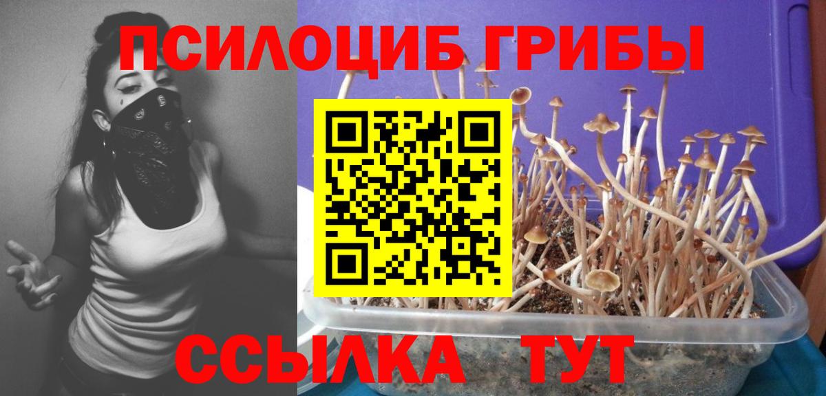 купить закладку  Галлюциногенные грибы Cubensis  Брянск  Вход с VPN  Галлюциногенные грибы Magic Shrooms 